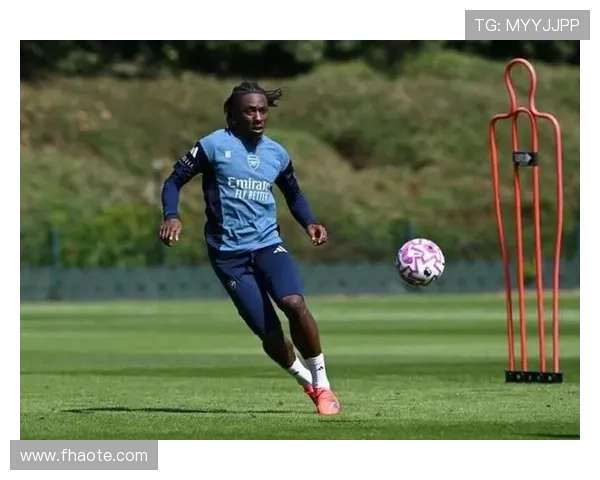 哈格里夫斯看好阿森纳四冠埃泽